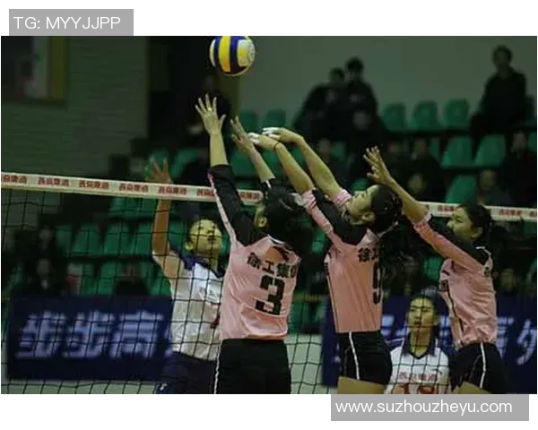 南京排球队荣登全国排球比赛经验排行榜首位引发热议